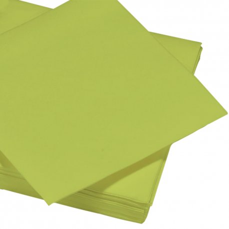 Serviette papier Airlaid 40x40 cm toucher textile kiwi